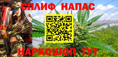 прущие крисы Заводоуковск