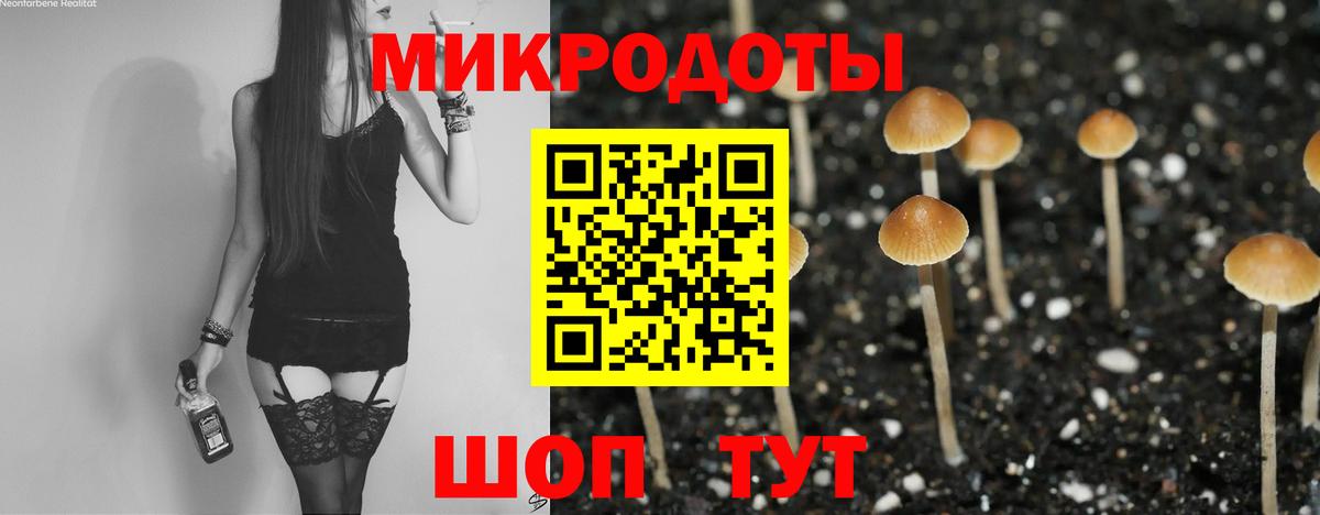 Псилоцибиновые грибы Magic Shrooms  где можно купить   Лабинск  Вход с VPN 